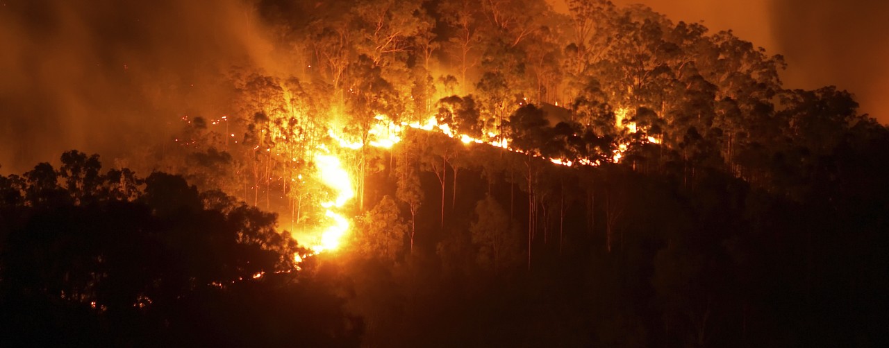 Forest Fire in California